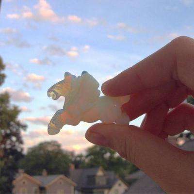 威尼斯会员登录截图