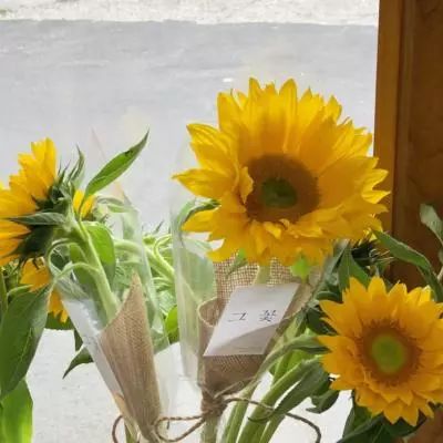 能下单的足彩app