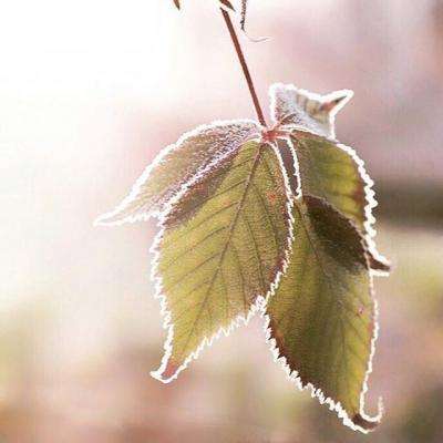 半岛官方手机网页版