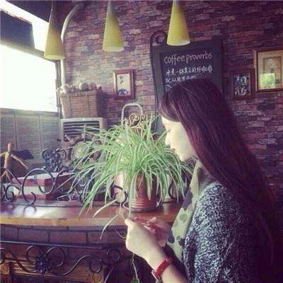 BB贝博平台登录app下载